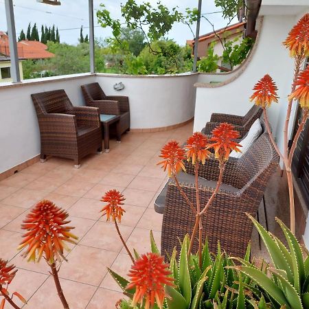 Apartma Marina بيران المظهر الخارجي الصورة