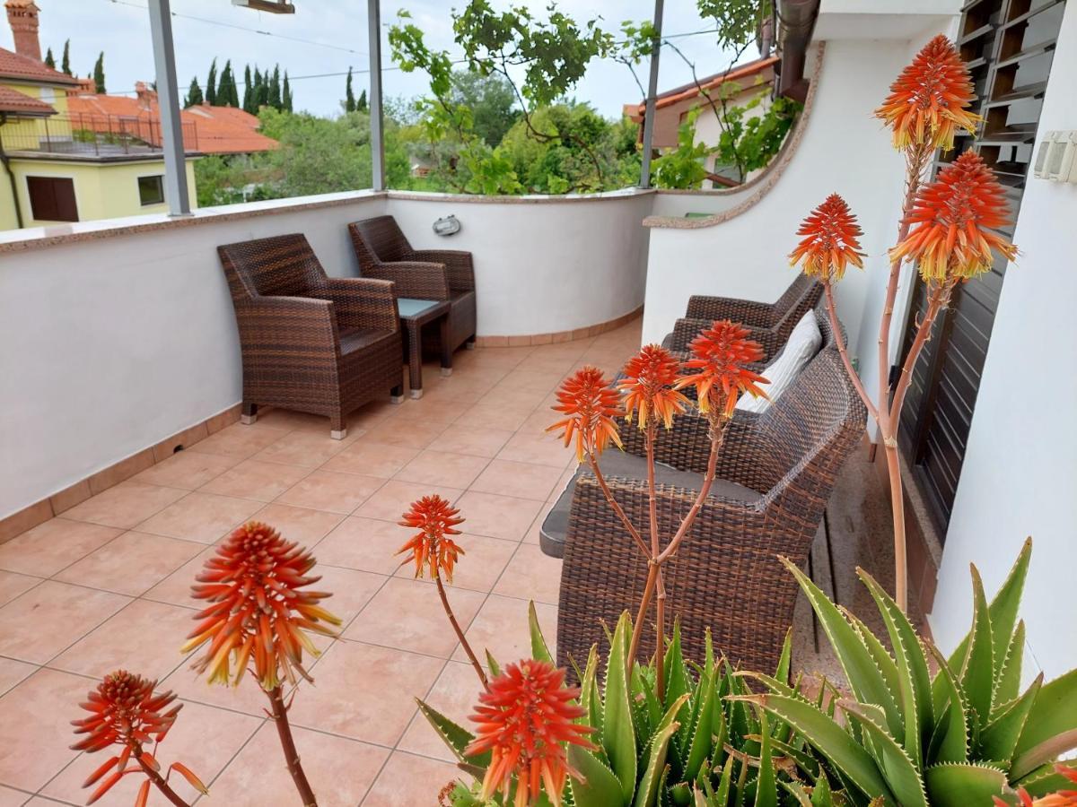 Apartma Marina بيران المظهر الخارجي الصورة
