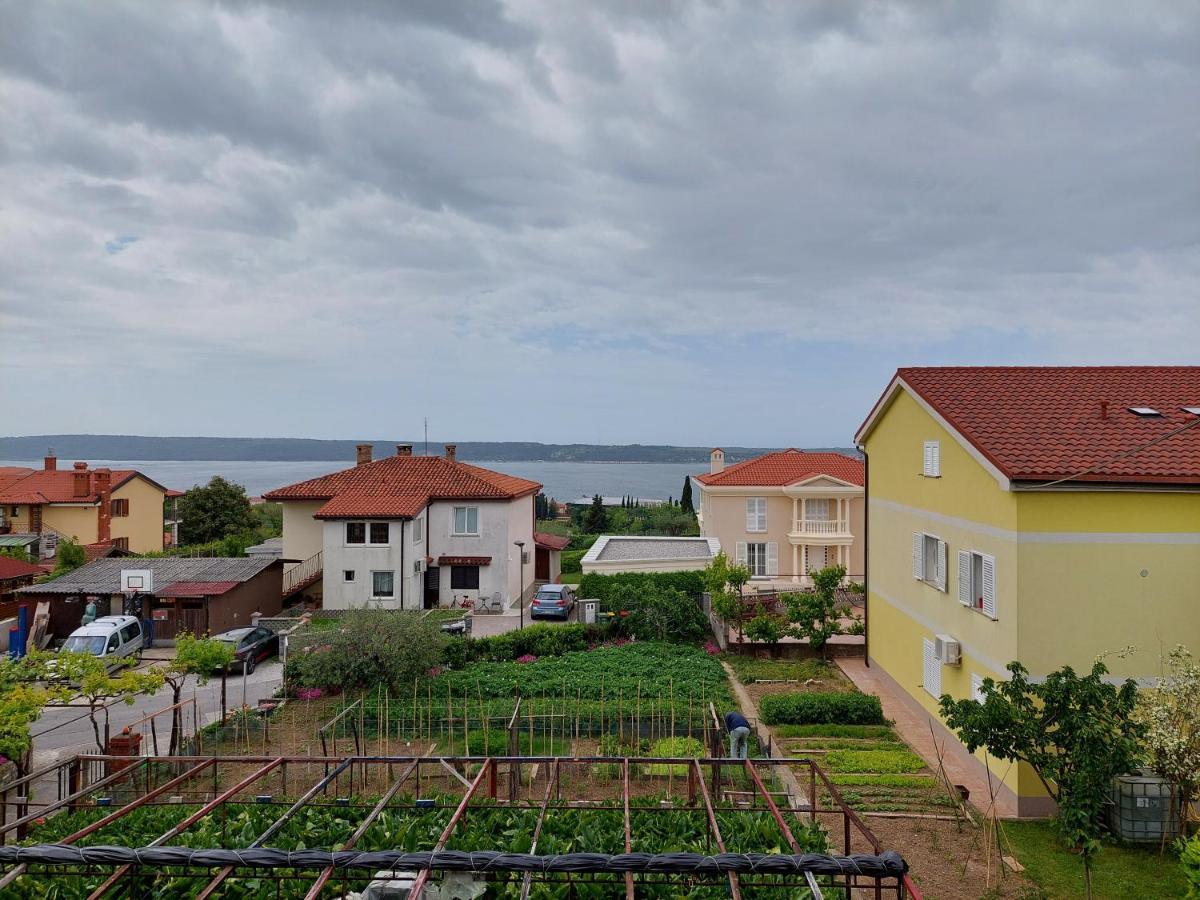 Apartma Marina بيران المظهر الخارجي الصورة
